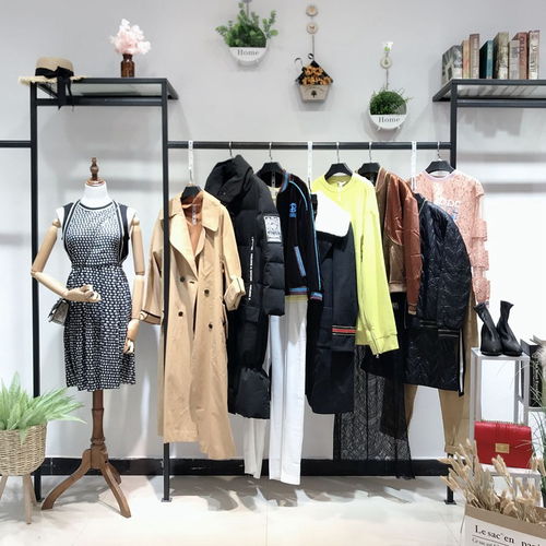 大碼女裝新時(shí)尚，批發(fā)商機(jī)盡顯優(yōu)雅與舒適